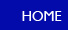 home button